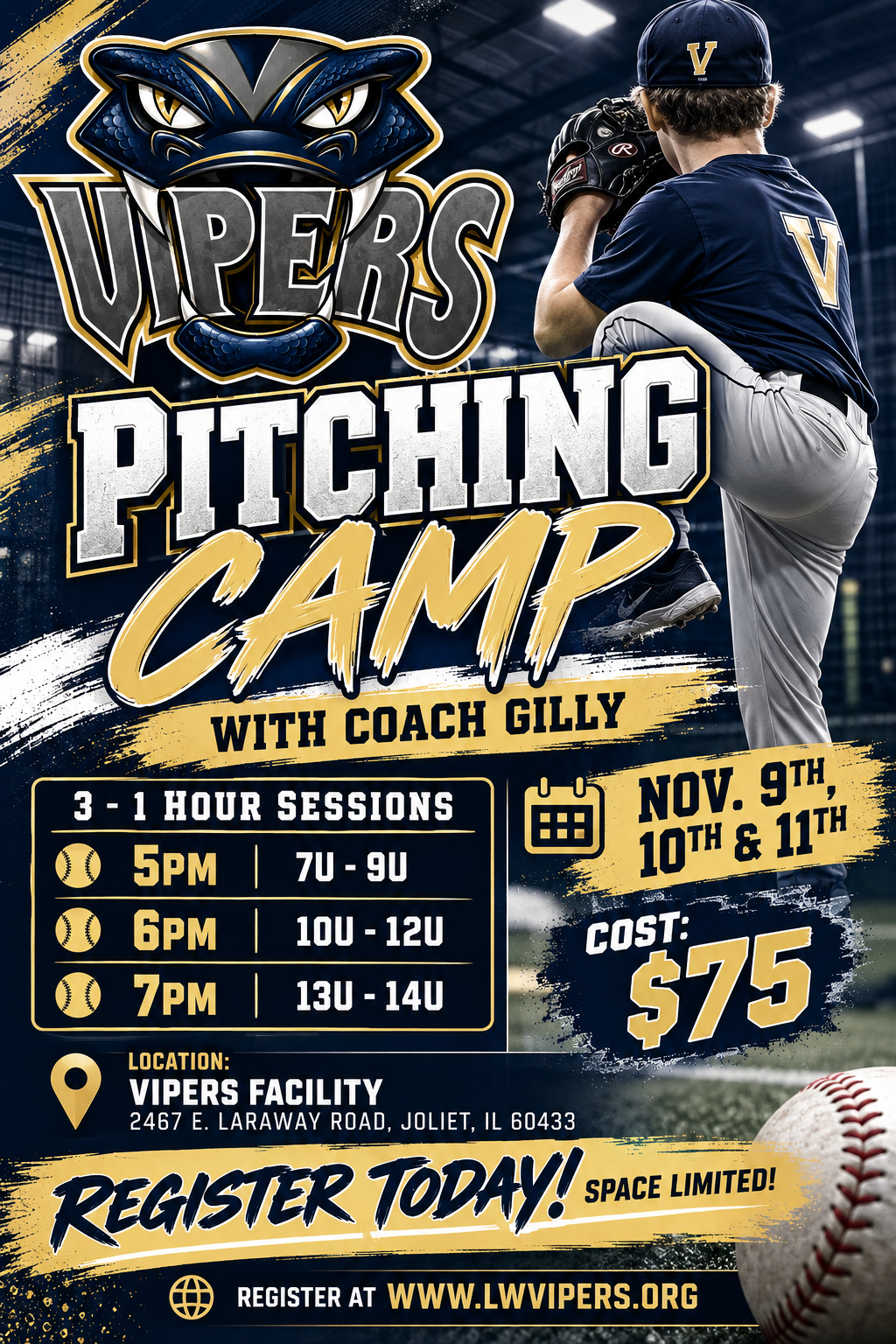 Vipers Pitching Camp Poster
